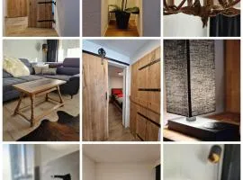 FeWo's und Apartment's Schöneck