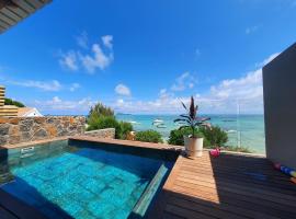 Luxury beachfront villa with private pool - Jolly's Rock，位于Calodyne的酒店