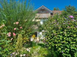 Traumhafte Gartenwohnung in Überlinger Hanglage - Zur goldenen Kiwi，位于于伯林根的酒店