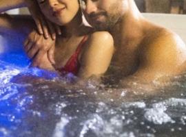 Jacuzzi Massage et Vin Plateau dînatoire offert，位于Férolles的住宿加早餐旅馆