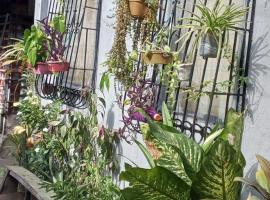 The Plant House in Iloilo City 12Pax，位于伊洛伊洛的度假屋