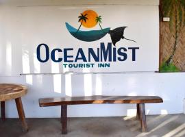 Ocean Mist Tourist Inn，位于圣维森特的酒店