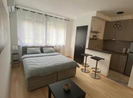 Vist 1 apartment，位于Tošin Bunar的酒店