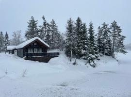 Holiday cottage with sauna close to Kjeragbolten，位于Tjørhom的度假屋