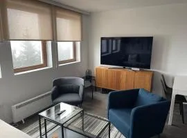 Sunčani Breg Resort&Spa Kopaonik, Apartman broj 9