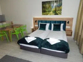 AGAT Apartament Czarna Góra