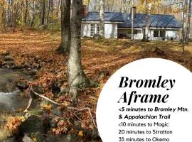 Classic VT Aframe - Minutes to Mountains