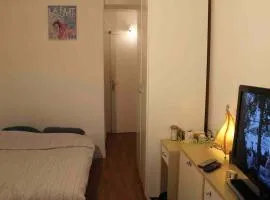 Nice studio in the heart of Sceaux