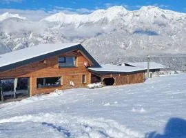 Gschwendtalm Tirol - Luxus-Apartment für Ihre Auszeit