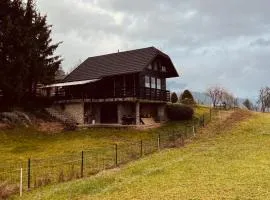 Chalet PJagodic