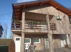 Vikendica apartments Dunav MS