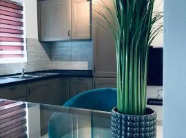 Zenith Apartment A20