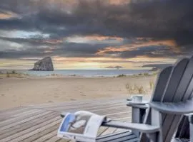 Pacific City Sand Dollar - Meredith Lodging