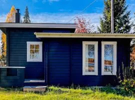 Pet Friendly Home In Rosvik With Wifi