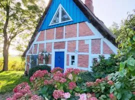 Die blaue Reetdachkate am Deich