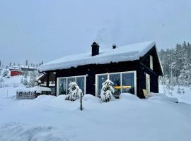 Great cabin in Hemsedal wifi golf ski eldorado，位于海姆瑟达尔的乡村别墅