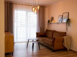 Apartament Sobieskiego，位于希维切的公寓