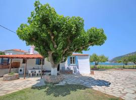 Skopelos Beach house，位于斯科派洛斯的酒店