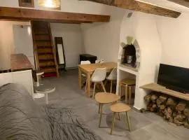 Superbe duplex vue montagne.