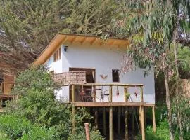 Cabaña Kuyen isla negra