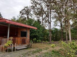 สายฝนการ์เด้น，位于Ban On Luai的宠物友好酒店