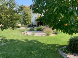 House Wisteria，位于Kostanjevica na Krasu的酒店