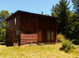 cabaña rustica pucon