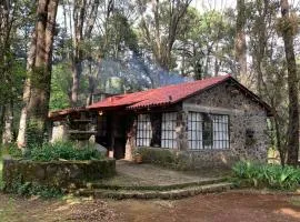 Hermosa cabaña en el bosque