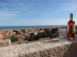 Maison à Saint Pierre la Mer avec Terrasse et Piscine 2 Étoiles - FR-1-229D-541