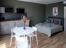 Griff 1. apartman Pécs