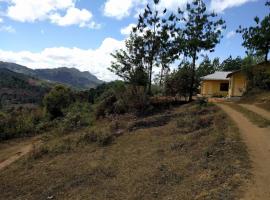 Usambara Green Forest，位于Lushoto的民宿