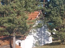 Planinska kućica Svetlana Zlatibor，位于Ribnica的别墅
