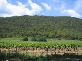 Gite au domaine de siouvette