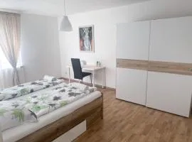 Zentrale 2-Zimmer Wohnung in Altstadt & Bahnhofsnähe ( überdachte Gartenterasse )