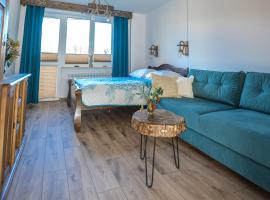 Apartament Zielony Ruczaj w Cisnej，位于齐斯纳的酒店