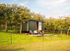 Harrys Hideout - Shepherd's Huts at Harrys Cottages，位于Pen y Clawdd的别墅