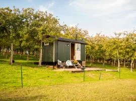 Harrys Hideout - Shepherd's Huts at Harrys Cottages