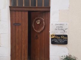 chambres d'hôtes du Tilleul，位于Nanteuil-en-Vallée的酒店