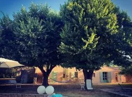 Bastide provençale de charme à la Côte d'Azur
