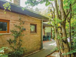 1 Bedroom Awesome Home In Prümzurlay，位于Prümzurlay的酒店