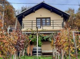 Vineyard cottage Kulovec，位于Uršna Sela的乡村别墅