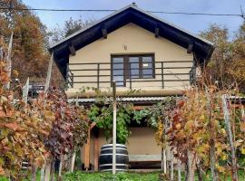 Vineyard cottage Kulovec，位于Uršna Sela的公寓