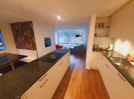 Neue Wohnung an Stadtrand mit Parkplatz，位于Ebikon的豪华酒店