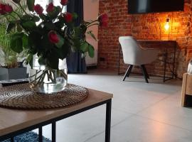 Apartamenty Gliwice Staromiejska 65，位于格利维采的酒店