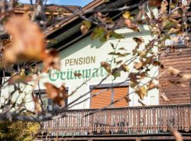 Pension Grünwald，位于索尔登的酒店