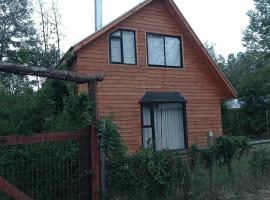 Cabaña Coñaripe，位于柯纳里佩的酒店