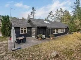 Nice Home In Silkeborg With Wifi And 3 Bedrooms
