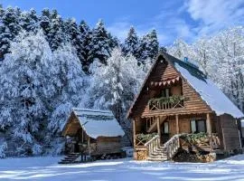 Cottage Tsivtskala in Racha, near Shaori