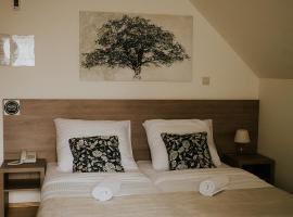 Villa Garden，位于奥莱希尼察的酒店