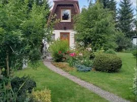 Finnhütte Tanne